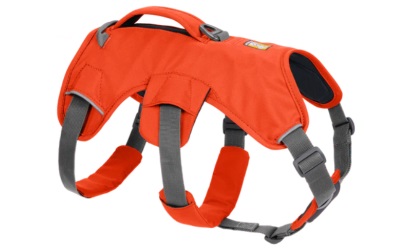 Ruffwear Web Master Harness Blaze Orange