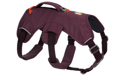 Ruffwear Web Master Harness Purple Rain