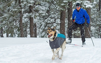 Winter- Hundejacke Ruffwear Powder Hound, blau