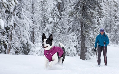 Winterjacke Ruffwear Quinzee, violett