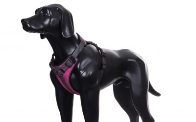 Gepolstertes Hundegeschirr in pink und schwarz erhältlich