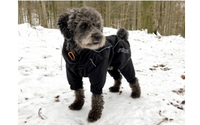 rukka Thermal Overall Hundemantel, black