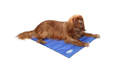 Scruffs Kühl-Hundematte Cooling, blau