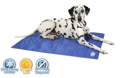 Scruffs Kühl-Hundematte Cooling, blau