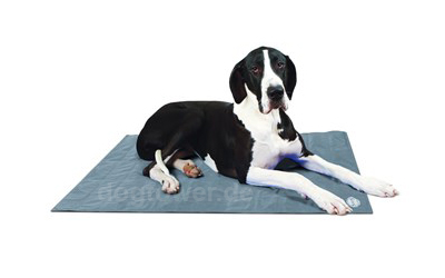 Scruffs Kühl-Hundematte Cooling, grau