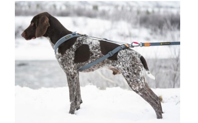 Seleverkstedet Trekreg Dog Harness Hundegeschirr