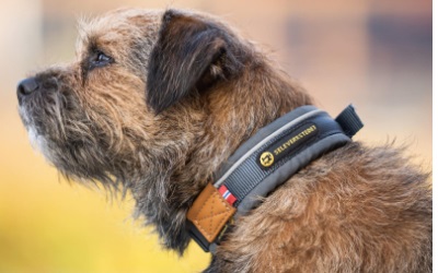 Seleverkstedet Unify Dog Collar Hundehalsband