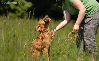Hundedummy, robustes Nylon