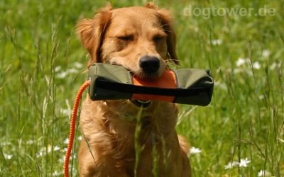 Hundedummy zum Befüllen