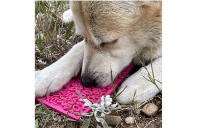 SodaPup Flower Power Design eMat Enrichment Lick Mat Pink