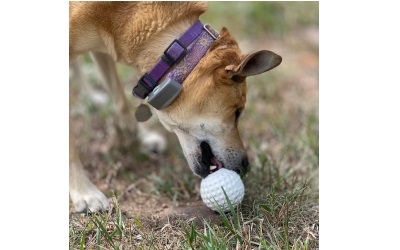 SodaPup Golf Ball Rubber Treat Dispenser & Enrichment Toy