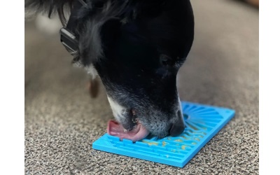 SodaPup Surf'S Up Design Emat Enrichment Lick Mat