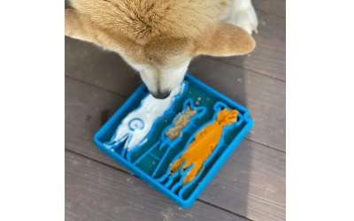 SodaPup Waiting Dogs Design eTray Enrichment Tray for Dogs