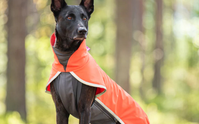 Leichte Hundejacke, zum Schutz vor Regen, Wind und Kühle
