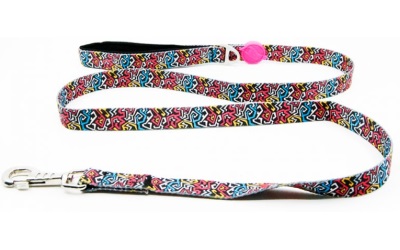 Tailpetz Graffiti Leash