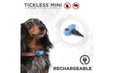 Tickless Mini Dog Greek Blue