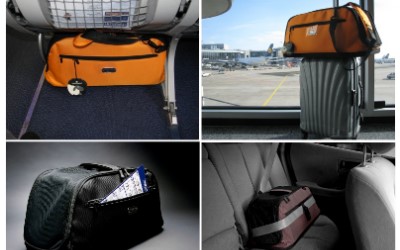 Transportbox, Sleepypod