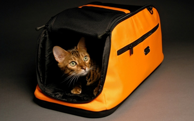 SleepyPod Air, orange dream
