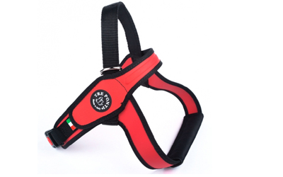 Tre Ponti Primo Classic Hundegeschirr, rot