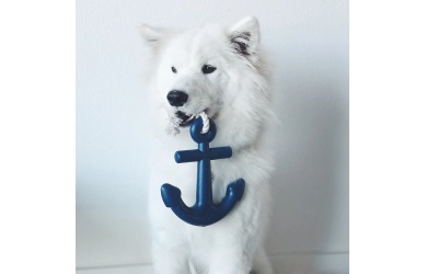 Waggo Anchors Aweigh Hundespielzeug Navy