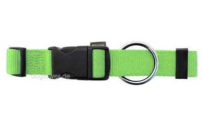 Hundehalsband Basic, Wolters, limette