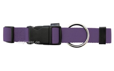 Hundehalsband Basic, Wolters, violett