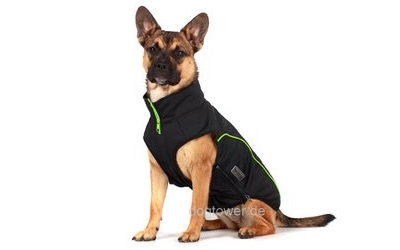 Wolters Softshell Hundejacke Basic