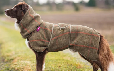 Woolie Pomppa der Wollmantel Hundemantel, oliv