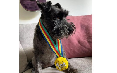 WufWuf Medal Plüsch-Hundespielzeug