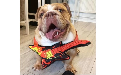 WufWuf Rottie Blackpaw's Guitar Plüsch-Hundespielzeug