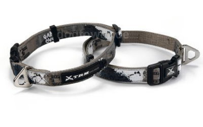 Xtremo Hundehalsband grau