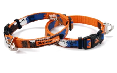 Xtremo Hundehalsband, orange