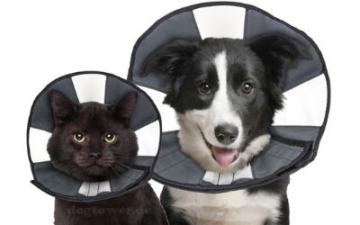 Für Hunde und Katzen verwendbar