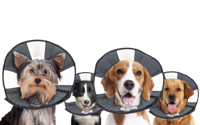 zenpet ProCollar Hunde Halskrause Soft
