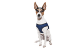 Aqua Coolkeeper Cooling Comfy Hundegeschirr, pacific blau