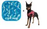 Aqua Coolkeeper Cooling Comfy Hundegeschirr, cool blau