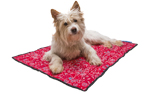 Aqua Coolkeeper Cooling Mat Hundematte, rot