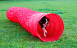 Agility Hundetunnel, rot