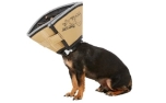 All Four Paws The Original Comfy Cone tan