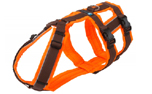 annyX Geschirr Safety, leuchtorange/braun