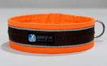 annyX Steckhalsband Protect, leuchtorange/braun