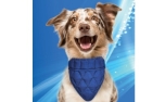 Aqua Coolkeeper Cooling Hunde Bandana, pacific blue