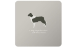 Bailey & Friends Tischset Border Collie Grau