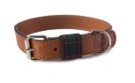 Buddys Dogwear Edinburgh green dog collar