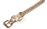Buddys Dogwear GoldStar Collar Petite