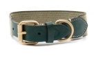 Buddys Dogwear James green dog collar