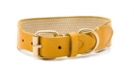 Buddys Dogwear James yellow dog collar