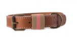 Buddys Dogwear Navy pink dog collar