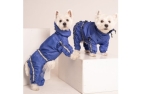 CiuCiu Blue Dog Raincoat