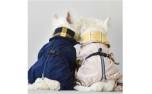 CiuCiu Blue Plaid Dog Raincoat